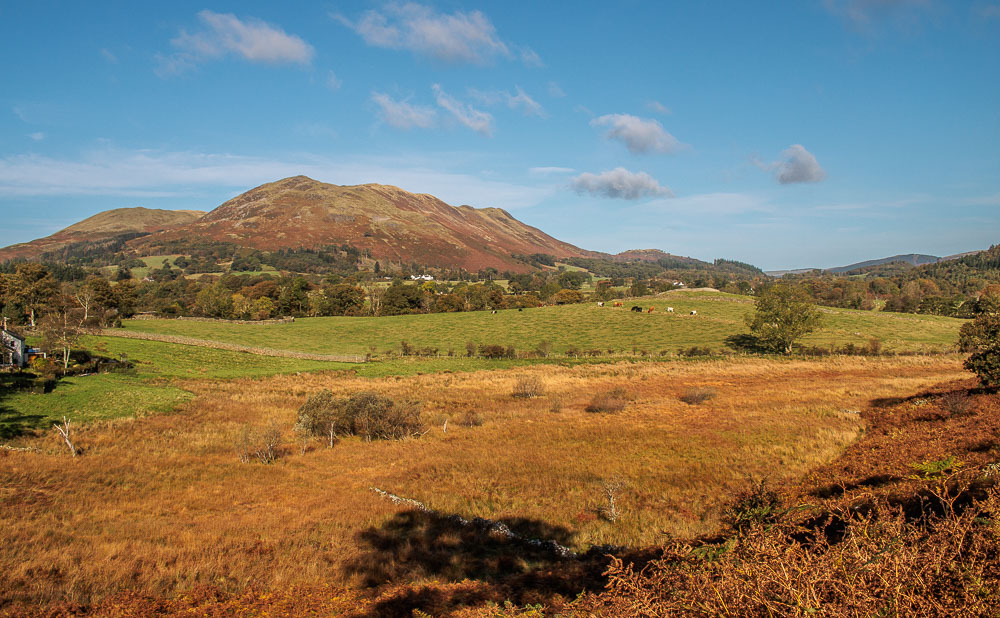 Low Fell